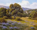 David Chapple, California Oaks (No.185)