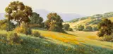 David Chapple, Morning Shadows (No.D0146)