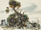 Maurice Logan, A Study of an Old Tree, watercolor and pencil on paper