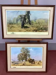Arr After David Shepherd, *ARR The Land...