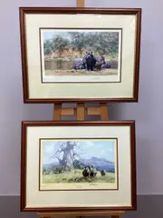 Arr After David Shepherd, *ARR 'Rhino...