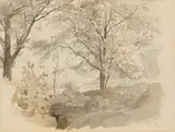 Anton von Werner, Waldskizze aus der Serpentara bei Olevano