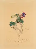 Framboisier (Aus: Flordali / Les Fruits) by Salvador Dalí, 1969/70, Radierung über Farbfotolithografie auf AUVERGNE A LA MAIN/RICHARD DE BAS (Wasserzeichen), sold Mar 2025