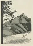 David Hockney, A wooded landscape (Aus: Six fairy tales from the Brothers Grimm)