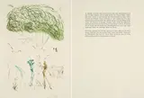 Salvador Dalí, Stelldichein unter der Kiefer (Aus: Tristan und Isolde)