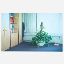 Sofia Hultén, Grey Area, 2001, nine-minute digital video loop, DVD