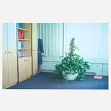 Sofia Hultén, Grey Area, 2001, nine-minute digital video loop, DVD