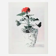 Alan Kessler, Red Geranium (from the 1776 USA 1976: Bicentennial Prints portfolio), lithograph in colors