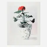Alan Kessler, Red Geranium (from the 1776 USA 1976: Bicentennial Prints portfolio), lithograph in colors