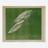 Leonard Baskin, Owl, 1960, woodcut