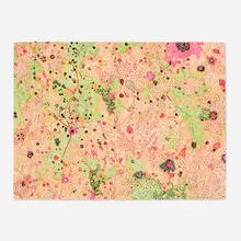 X Riphaeus Mountains Region of the Moon (from the Lunar Orbit series) by Nancy Graves, 1972, lithograph in colors on Arches Cover, sold Nov 2024