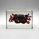 Alfredo Barbini, Crab, c. 1955, lattimo glass in crystal block