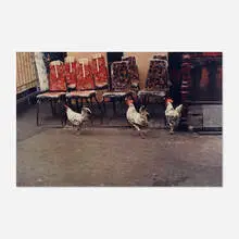 Three Roosters by Helen Levitt, c-print, sold Feb 2021