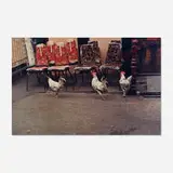 Helen Levitt, Three Roosters