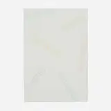 Robert Barry, Untitled, 2008, screenprint in colors