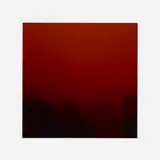 Richard Misrach, View from My Front Porch (Telephone Pole), 8:12 a.m., September 9, 2020 (from The New California (for Dorothea Lange) series)