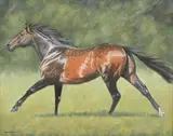 Peter Deighan, Untitled, oil on canvas 39 x 49cm .