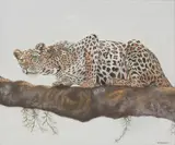 Peter Deighan, Untitled, oil on canvas 50 x 60cm .