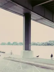 Zoobrücke, Köln by Andreas Gursky, 1988, C-Print, sold Jun 2025