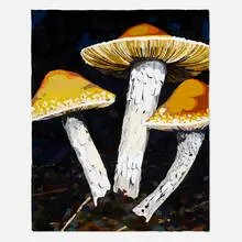 Hilary Pecis, Mushroom Patch, 2018, oil on canvas