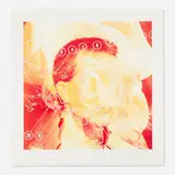 James Rosenquist, Fly