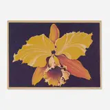 Lowell Nesbitt, Orchid, 1973, lithograph in colors