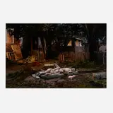 Untitled (Backyard Romance) (from the Beneath the Roses series) by Gregory Crewdson, 2004, digital C-print, sold Oct 2024