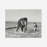 Bruce Weber, Laguna