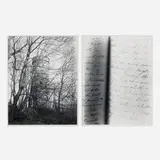 James Welling, Untitled #137 (from the Diary of Elizabeth and James Dixon / Connecticut Landscapes series) (diptych)