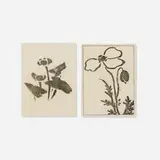 Arthur Wesley Dow, Lotus; Poppy (two works from the Ipswich Prints series)