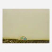 Nigel Cooke, Camoflauge, 2004, oil on paper