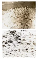 Douglas Huebler, Duration Piece #12, Venice, California - Plum Island, (Newburyport) Massachusettes, 1969, typed project statement on paper and two photographs