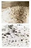 Douglas Huebler, Duration Piece #12, Venice, California - Plum Island, (Newburyport) Massachusettes, 1969, typed project statement on paper and two photographs