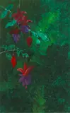 Paul Wonner, Fuchsia, c. 1968, watercolor and casein on paper