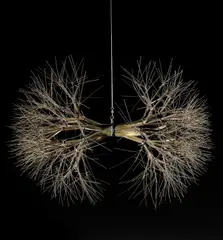 Untitled by Ruth Asawa, c. 1960, tied wire, sold Nov 2007