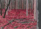 Francesca Gabbiani, Paper Needles, 2000, color paper and glue on paper