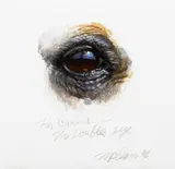 Richard McLean, No Double's Eye, 1992, watercolor on paper