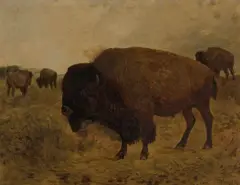 John Dare Howland, Grazing Bison, oil on canvas