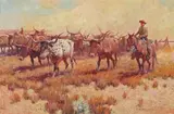 Nick Eggenhofer, Trailing Texas Longhorns