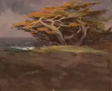 Mary DeNeale Morgan, Windswept Monterey Cypress