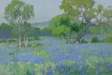 Maurice Braun, A Field of Bluebonnets