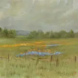 Grace Hudson, Poppy Scene in Potter Valley