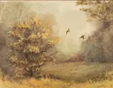 Jonathan Sainsbury, Pheasants in a Wooded Landscape, watercolour