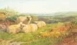 Sheep in a Landscape by George Shalders, watercolour and bodycolour, offered May 2024