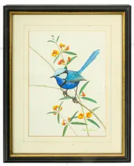 Martin Thompson, Kingfisher on a Branch, watercolour