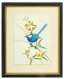 Martin Thompson, Kingfisher on a Branch, watercolour