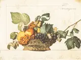 Wolfgang Zelmer, Homage a Caravaggio, etching in colours