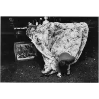 Ray Metzker, Boy in Antique Shop or Boy with Blanket, (60-IW-11) Gelatin Silver Print