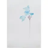 Gustavo Bonevardi, Untitled (Flower with Letters), Mixed media, watercolor and colored pencil