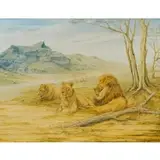 Donald C Wallace, A Group of Lions in Southern Abyssinia, Oil on canvas